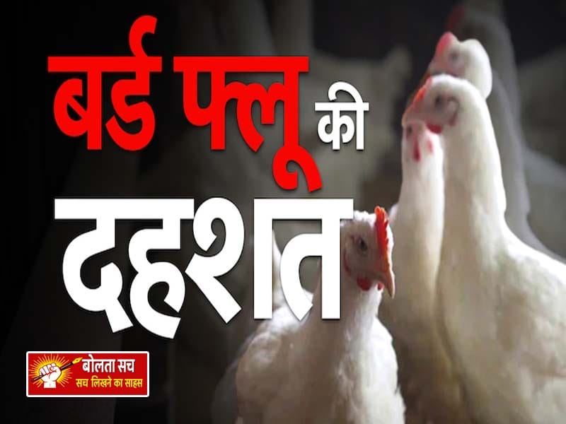 गोरखपुर के पांच