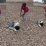 देवरिया: वायरल वीडियो मामले में दो और आरोपी गिरफ्तार