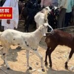 बकरीद पर शांति और सुरक्षा के पुख्ता इंतजाम, देवरिया में संवेदनशील इलाकों में विशेष निगरानी”