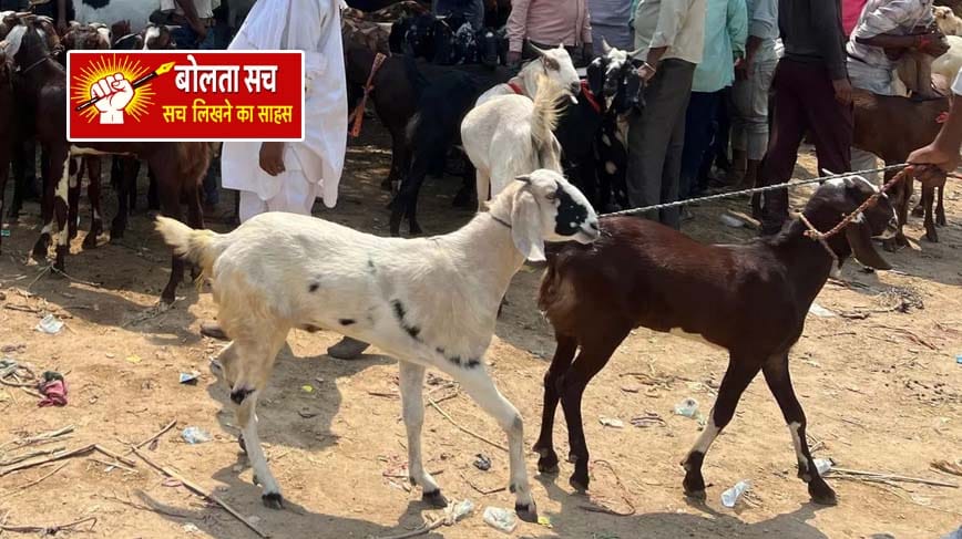 बकरीद पर शांति