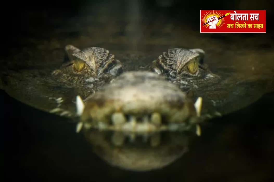 मछली के चक्कर में जान