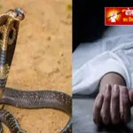 बेटे से छिनी मां की ममता: कुशीनगर में सांप के डसने से महिला की मौत
