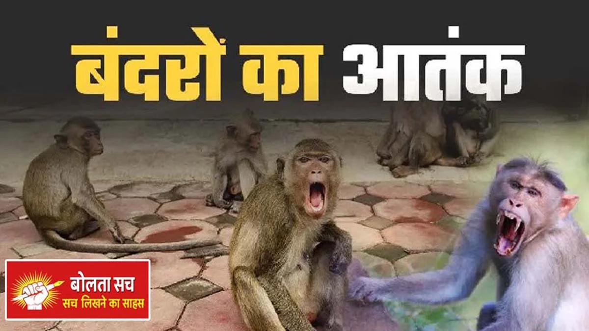 Kushinagar Monkey killed his mother