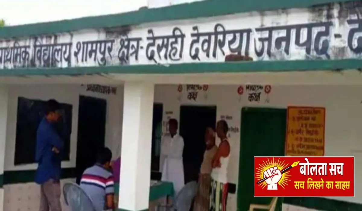 fake in primary school