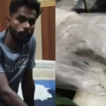 सांप ने डसा, फिर भी नहीं घबराया युवक — पॉलिथीन में भरकर खुद ही पहुंचा अस्पताल, 7 घंटे चले इलाज के बाद बची जान