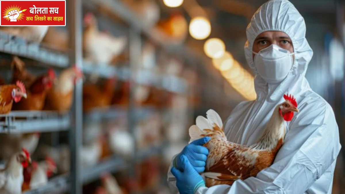 Bird flu outbreak in the US