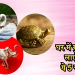 वास्तुशास्त्र के अनुसार घर में रखें ये शुभ वस्तुएं, दूर होंगे दोष और बढ़ेगी समृद्धि