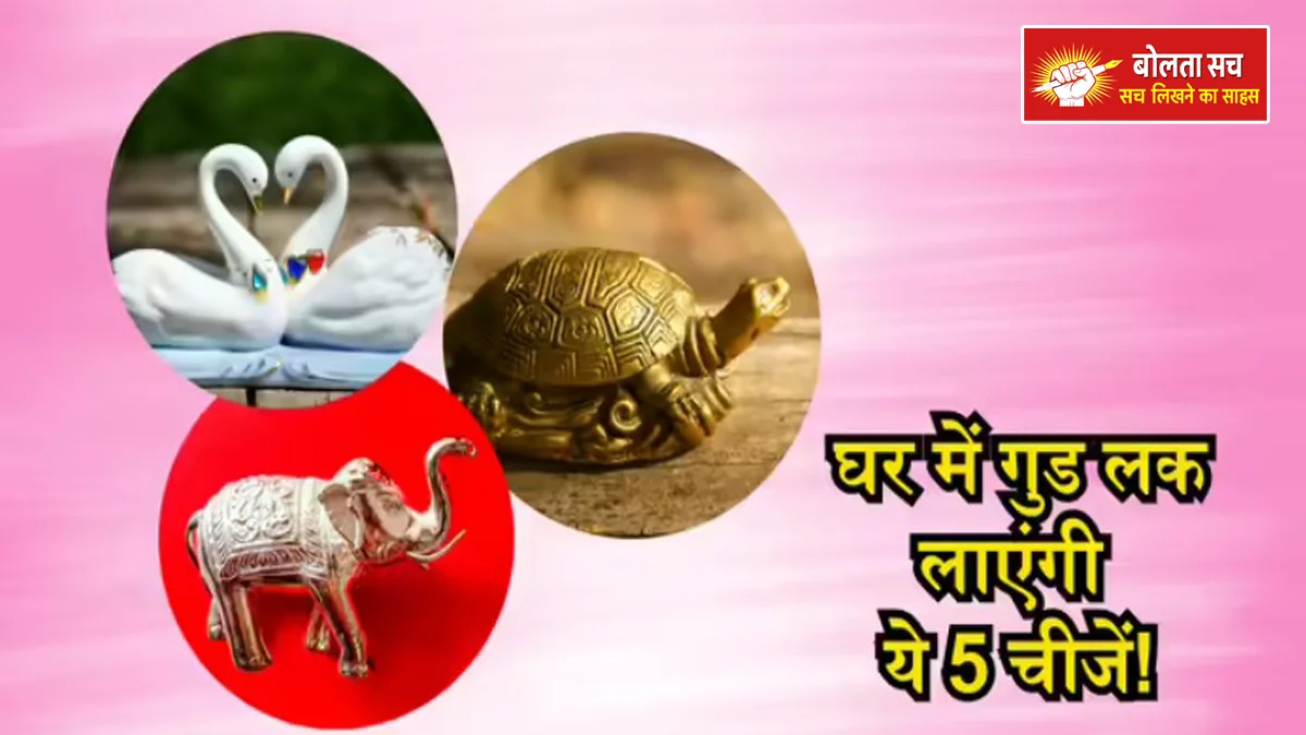 Keep it in the house according to Vastu Shastra