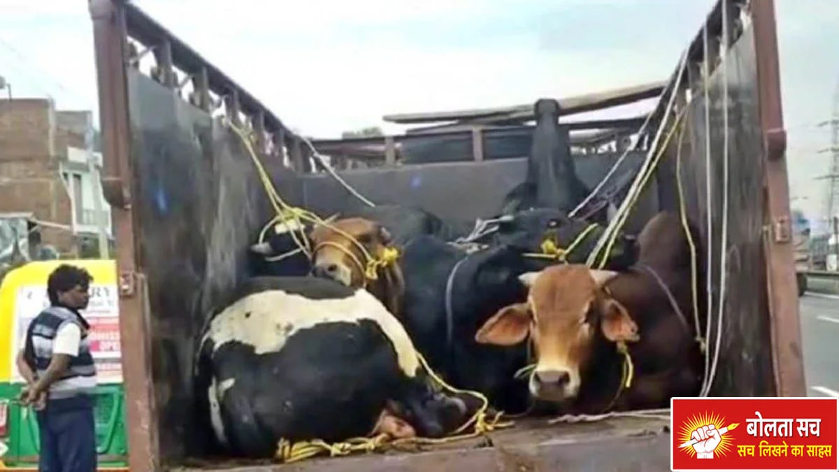 New youth movement in border areas