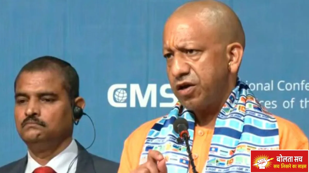 international judge in lucknow