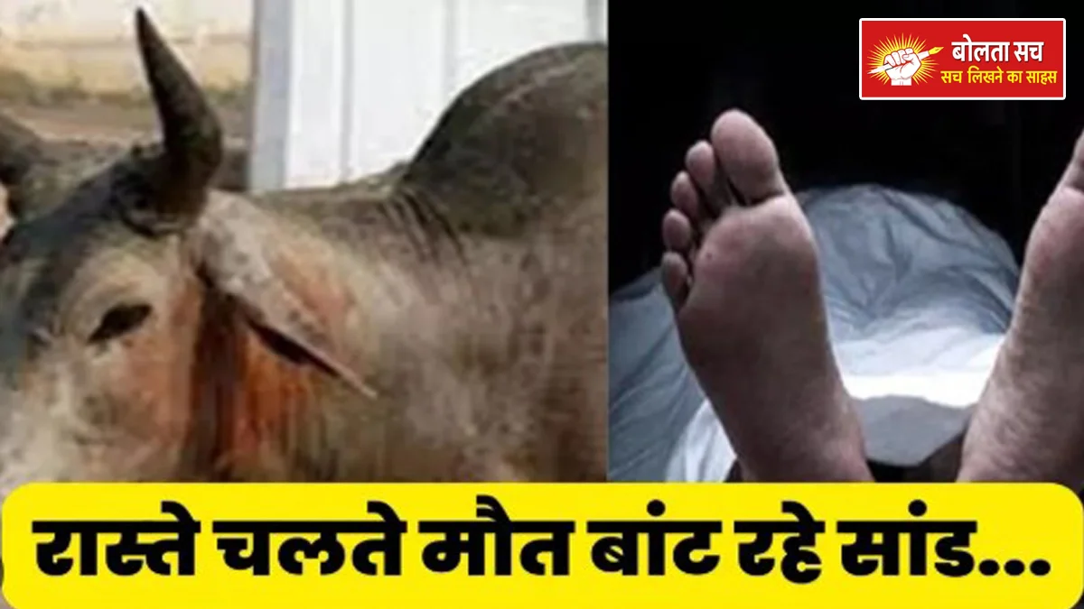 Farmer dies due to bull attack