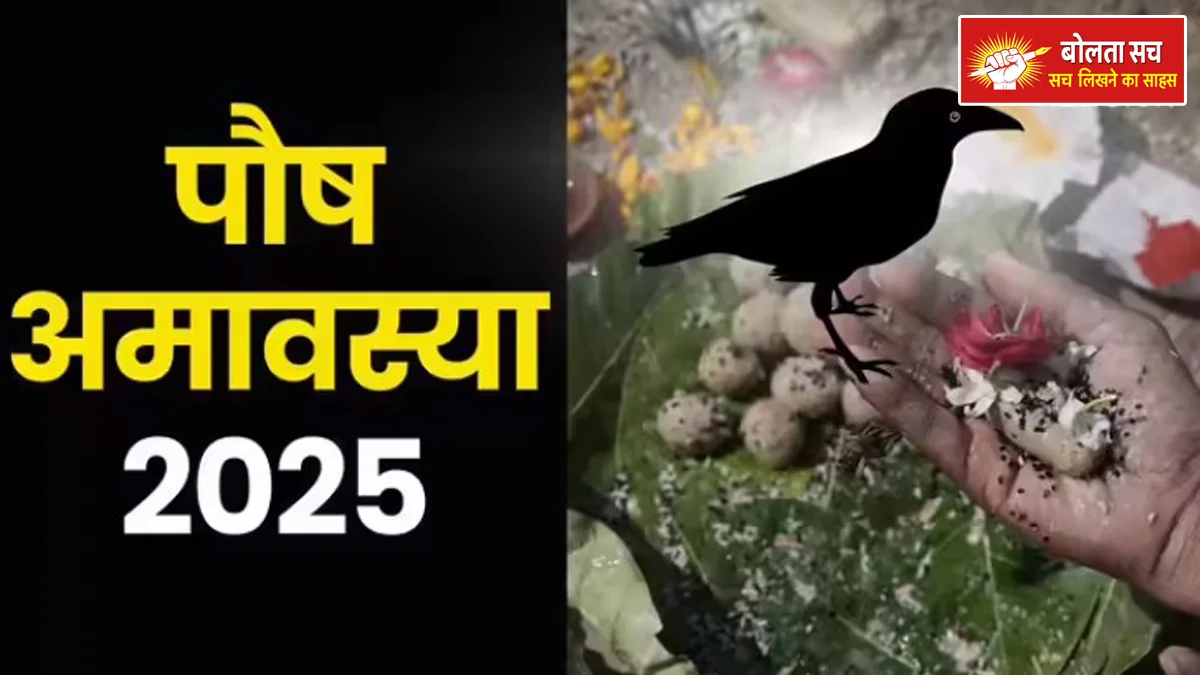 Paush Amavasya 2025 Date