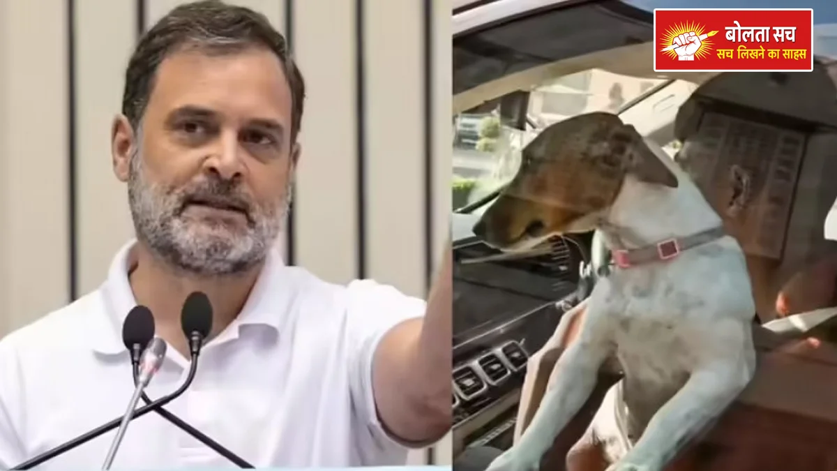 Rahul on dog controversy in Parliament