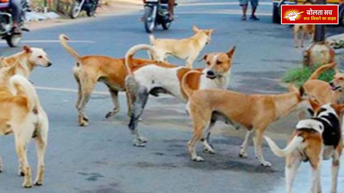 Alleged menace of stray dogs in Telangana