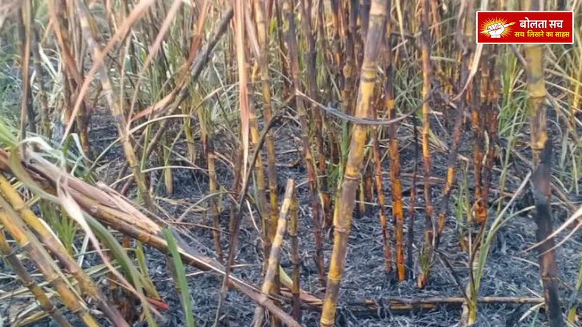 Baghauchghat Fire broke out due to burning of dry leaves