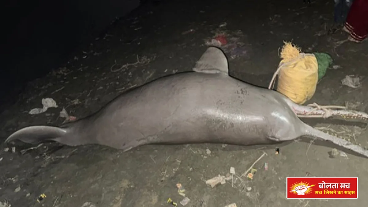 Found under the Ganga bridge in Kanpur