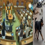 दिल्ली विधानसभा में आवारा कुत्तों और प्रदूषण के मुद्दे पर घमासान, कार्यवाही कई बार स्थगित