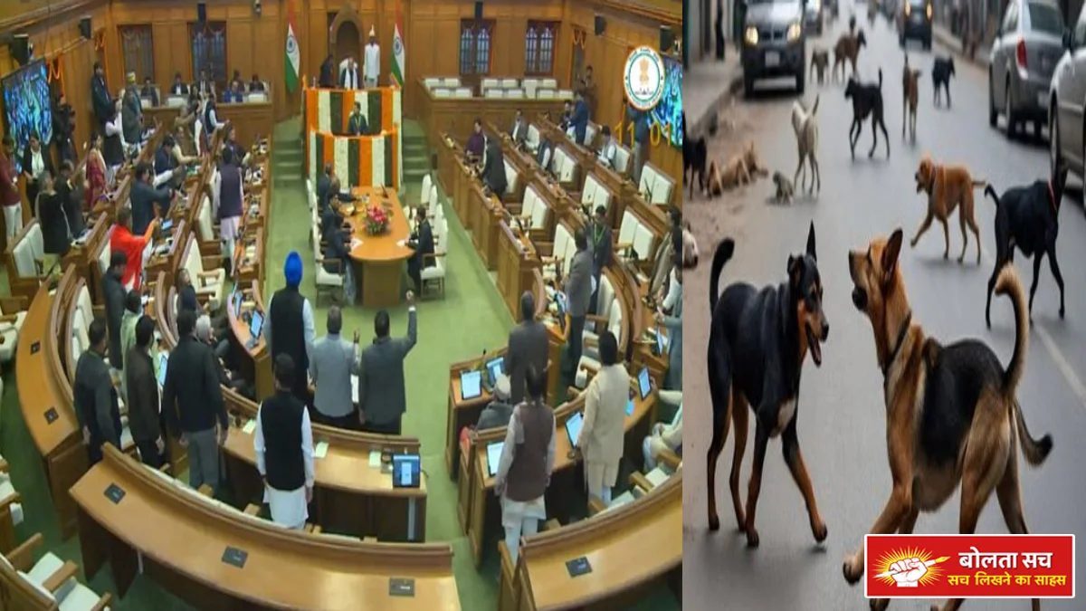 Stray dogs in Delhi Assembly