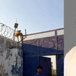 बदायूं में पूर्व बसपा विधायक हाजी बिट्टन अली पर पशु क्रूरता का केस, करंट लगे तारों में फंसकर बंदर की मौत