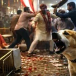 फतेहपुर में शादी समारोह में पालतू कुत्ते को लेकर बवाल, मंडप से कोतवाली तक पहुंचा मामला