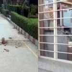 मेरठ में छात्रा की मौत के बाद बवाल, छात्रों का प्रदर्शन और तोड़फोड़