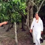 कुमारगंज में भाजपा उम्मीदवार शुभेंदु सरकार पर हमला, चुनावी हिंसा से बढ़ा तनाव