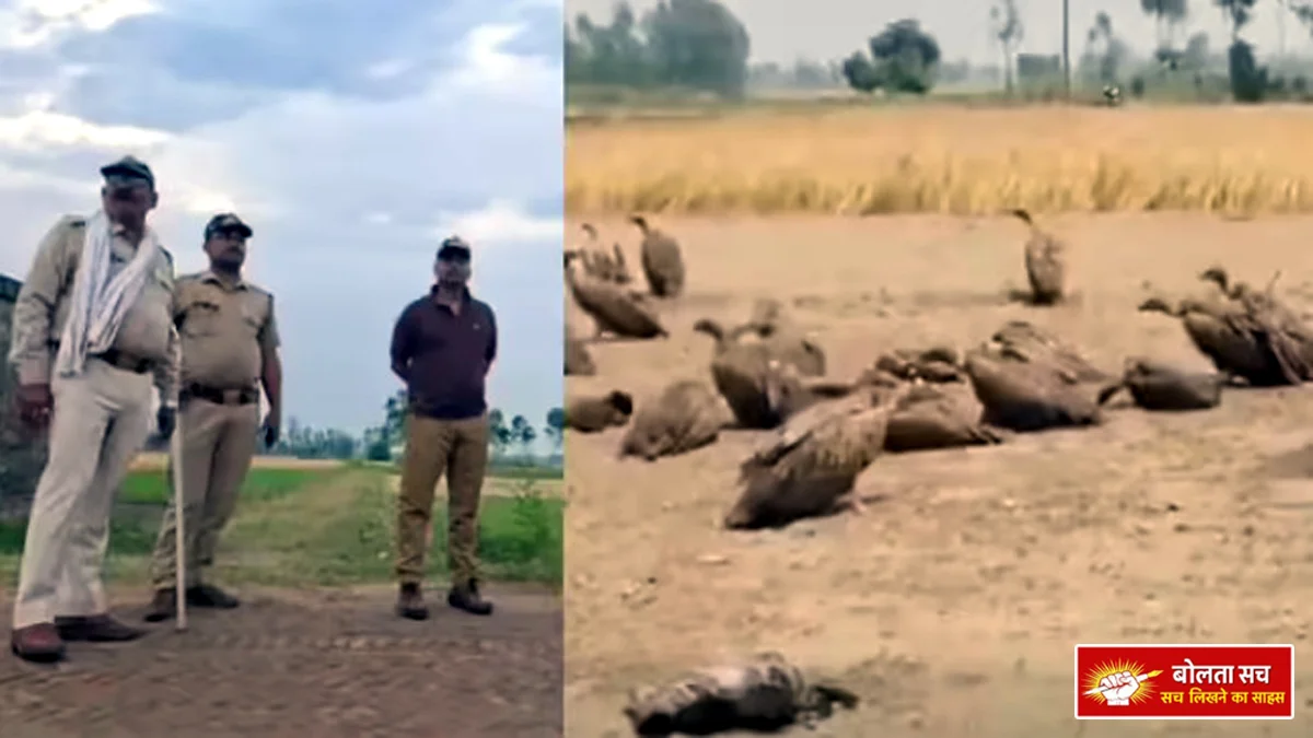 Poisonous in Lakhimpur Kheri