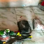 देवरिया में काली माता मंदिर परिसर की प्रतिमाएं क्षतिग्रस्त, गांव में बढ़ा तनाव