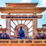 गोरखपुर : चिड़ियाघर में फर्जी टिकट घोटाले का खुलासा, राजस्व गबन में वन विभाग कर्मी समेत पांच पर कार्रवाई