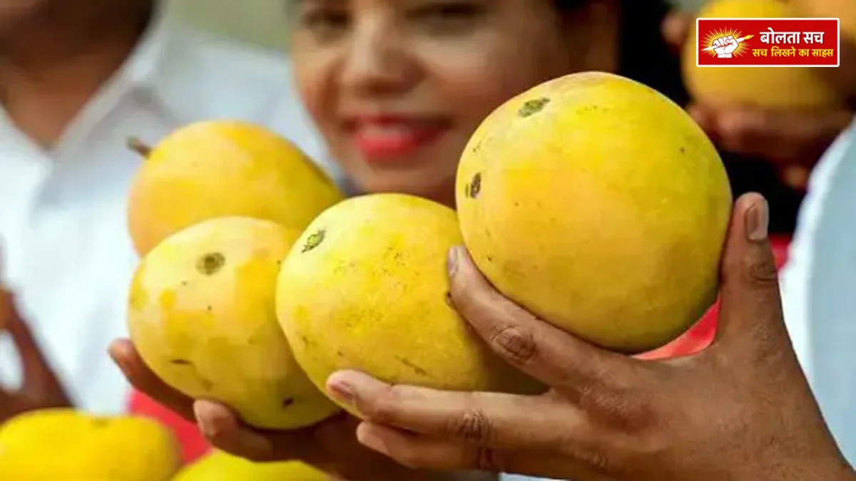 International interest on Indian mangoes has increased