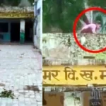 लखनऊ: जर्जर छत पर बच्चों से कराई काई की सफाई, हाईटेंशन तारों के नीचे काम कराने पर दो शिक्षिकाएं निलंबित